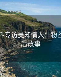 吃瓜爆料专访吴知情人：粉丝大战幕后故事