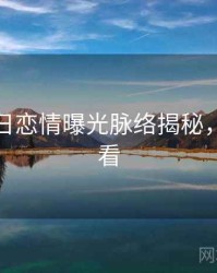 黑料每日恋情曝光脉络揭秘，速来查看