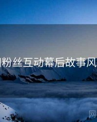 秀人网粉丝互动幕后故事风向研判