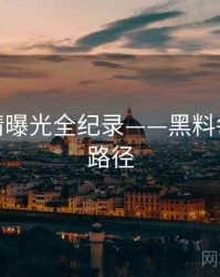 权威恋情曝光全纪录——黑料每日传播路径