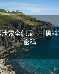 全景数据泄露全纪录——黑料官网流量密码