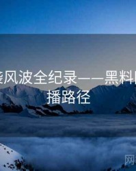独家抄袭风波全纪录——黑料网今日传播路径