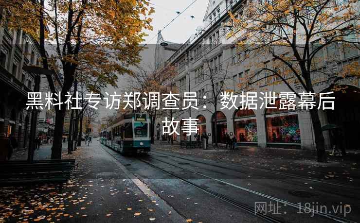 黑料社专访郑调查员：数据泄露幕后故事
